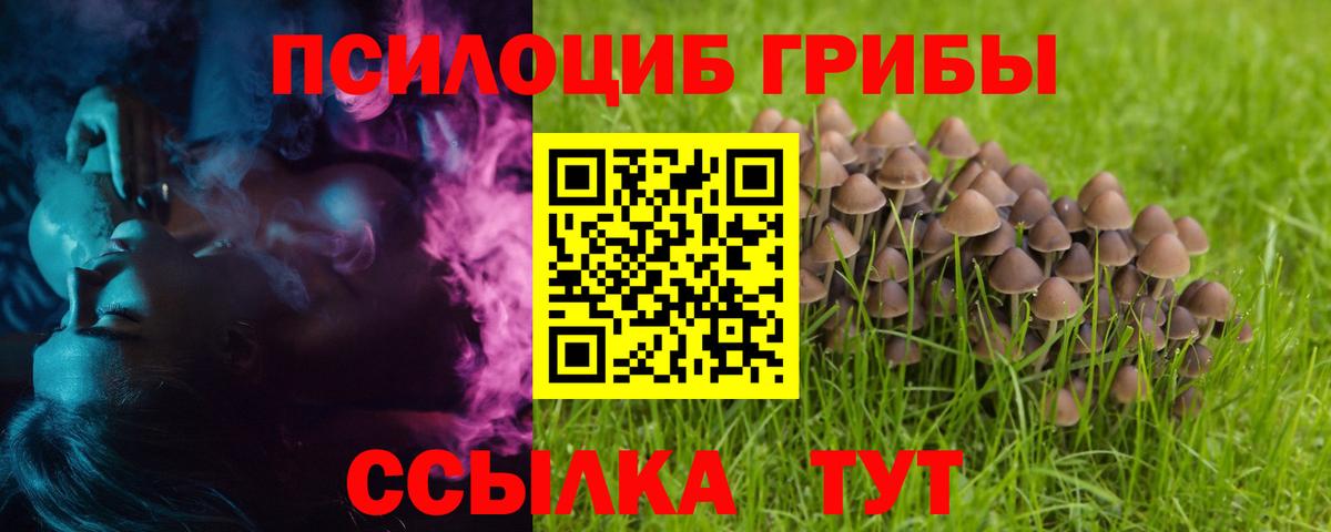 Тверь  Галлюциногенные грибы Magic Shrooms  Вход с VPN 